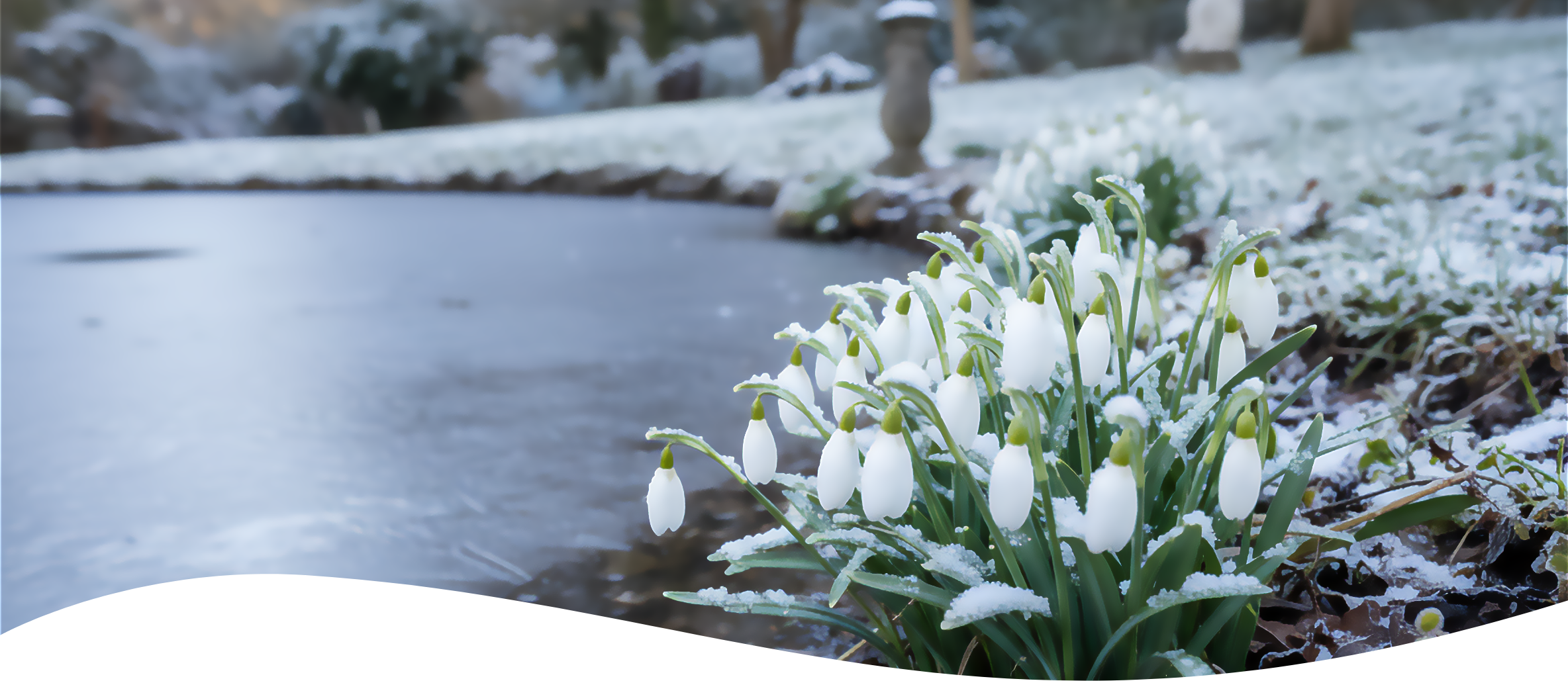 Stad Groningen in de winter. foto: Reinder Smith