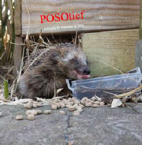 Posotief sept-okt.pdf