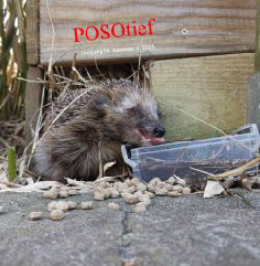 Posotief sept-okt.pdf