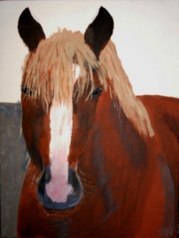 keuze foto